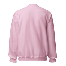 Load image into Gallery viewer, Light Pink Mary on a Donkey crewneck sweatshirt, back view
