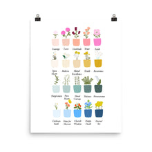 Load image into Gallery viewer, Virtue Pots - poster
